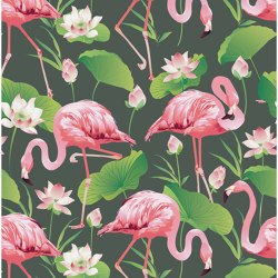Flamingo Pool | Wall coverings / wallpapers | GMM