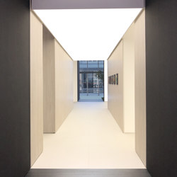 Light ceiling | Illuminated ceiling systems | Dresswall
