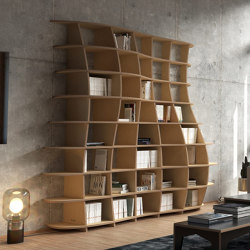 book shelf | Regona | Shelving | form.bar