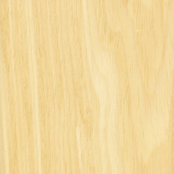 Wood Panels | Wood veneers | Gustafs
