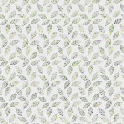 Leaves Lime | Pattern plants / flowers | TECNOGRAFICA