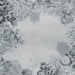Coral Loss | CL3.01.1 | 200 x 300 cm | Rugs | YO2