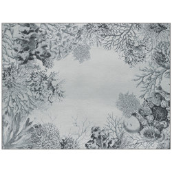 Coral Loss | CL3.01.1 | 200 x 300 cm | Rugs | YO2