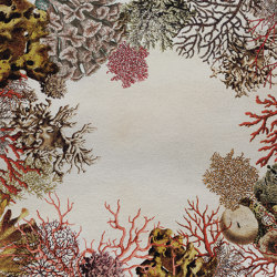 Coral Loss | CL3.01.3 | 200 x 300 cm | Tappeti / Tappeti design | YO2