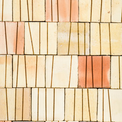 Estro Lab | Forme 05 | Bamboo | Ceramic tiles | Cotto Etrusco