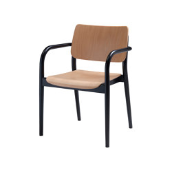 Viena Armlehnholzstuhl | Chairs | seledue