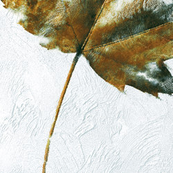 Falling | Wall panels | Inkiostro Bianco