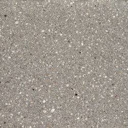 Boulevard Palladium silver fine samtiert with CF 90 | Concrete paving bricks | Metten