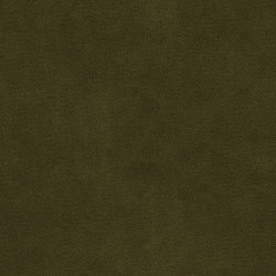Henry | Colour
Moss 208 | Drapery fabrics | DEKOMA