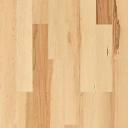 Lodge | Hard Maple Summer | Wood veneers | Kährs