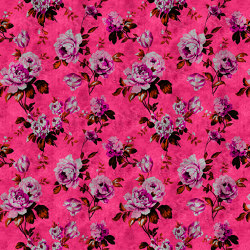 Walls By Patel 2 | Wallpaper DD113907 Wild Roses 3 | Wall coverings / wallpapers | Architects Paper
