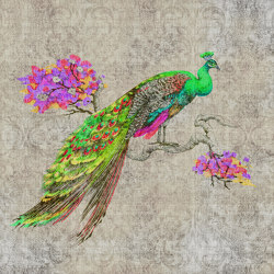 Walls By Patel 2 | Wallpaper DD114307 Peacock 1 | Wall coverings / wallpapers | Architects Paper