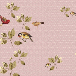 Walls By Patel 2 | Wallpaper DD114322 Brillantbirds1 | Wall coverings / wallpapers | Architects Paper