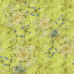 Walls By Patel 2 | Papel Pintado DD114437 Tenderblossom1 | Wall coverings / wallpapers | Architects Paper
