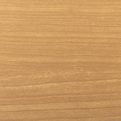 Woodgrains | Golden Butternut | Metal sheets | Pure + FreeForm