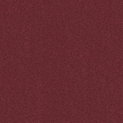 Exclusive 1066 - 1N68 | Wall-to-wall carpets | Vorwerk
