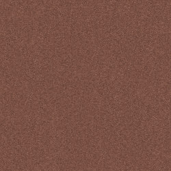 Exclusive 1066 - 1N70 | Wall-to-wall carpets | Vorwerk