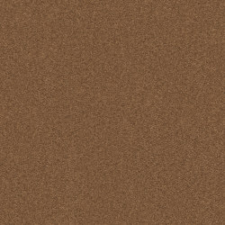 Exclusive 1066 - 8K20 | Wall-to-wall carpets | Vorwerk