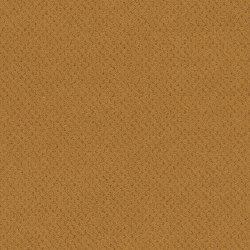 Superior 1071 - 2F51 | Wall-to-wall carpets | Vorwerk