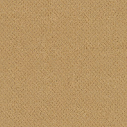Superior 1071 - 2F52 | Wall-to-wall carpets | Vorwerk