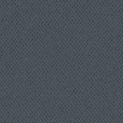 Superior 1071 - 5Y27 | Wall-to-wall carpets | Vorwerk