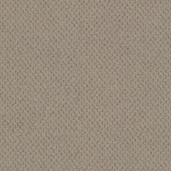 Superior 1071 - 5Y37 | Wall-to-wall carpets | Vorwerk