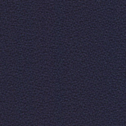 King Flex 170 | 022 | 6098 | 06 | Upholstery fabrics | Fidivi