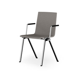 BLAQ wood | Chairs | rosconi