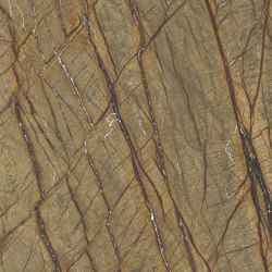 Marmoker Brown Forest | Ceramic tiles | Casalgrande Padana