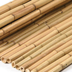 Bamboos | Natural bamboo 40-45mm "white quality" | Roofing systems | Caneplex Design
