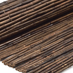 Bamboos | Bamboo Nigra 12-16mm