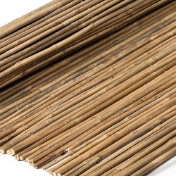 Bamboos | Tonkin Bamboo 10-16mm | Toitures | Caneplexus