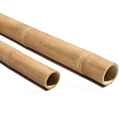 Poles | Bamboo Duan | Bambou | Caneplexus