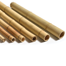 Poles | Bamboo Moso | Bamboo | Caneplex Design