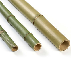 Poles | Bamboo natural green | Bambus | Caneplexus