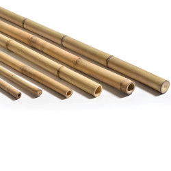 Poles | Tonkin | Bamboo | Caneplex Design