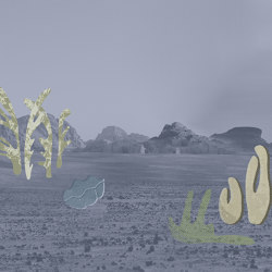 Desert Botanica | Carta parati / tappezzeria | Wall&decò