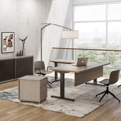 Ortho desk | Desks | ALEA