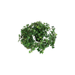 Artificial Plants | Ivy | Planting | Götessons