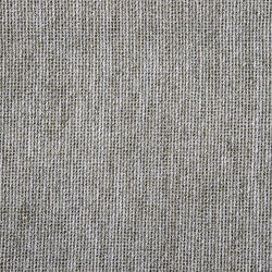 Coba 305 | Curtain fabrics | Fischbacher 1819