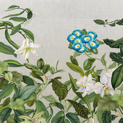 Atelier 47 | Wallpaper DD118075 Botanicsketch2 | Revêtements muraux / papiers peint | Architects Paper