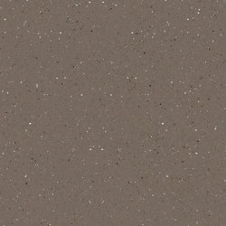 Signature Abstracts - 1,0 mm | Mica Mix Earth | Synthetic panels | Amtico