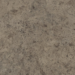 Signature Stones - 1,0 mm | Buckland Stone | Synthetic panels | Amtico
