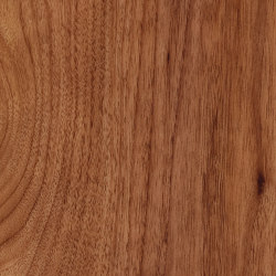 Signature Woods - 1,0 mm | Teak | Vinyl flooring | Amtico