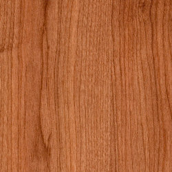Signature Woods - 1,0 mm | American Cherry | Synthetic panels | Amtico
