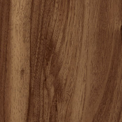 Signature Woods - 1,0 mm | Wild Walnut | Synthetic panels | Amtico