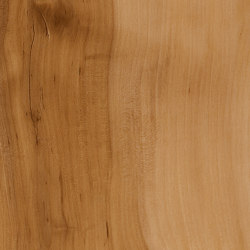 Signature Woods - 1,0 mm | Applewood | Synthetic panels | Amtico
