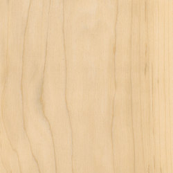 Signature Woods - 1,0 mm | Sugar Maple | Synthetic panels | Amtico