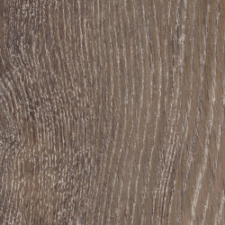 Signature Woods - 1,0 mm | Pilgrim Oak | Synthetic panels | Amtico