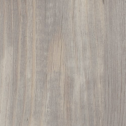 Signature Woods - 1,0 mm | Halo Pine | Synthetic panels | Amtico